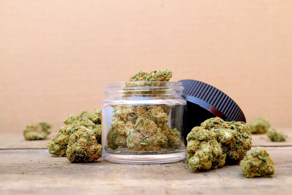 Celebrate St. Patrick’s Day with Best Strains